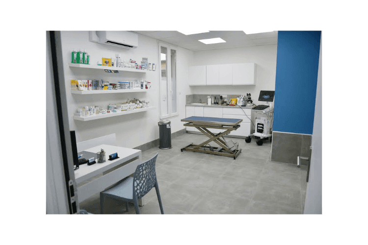 Cabintetveterinaire Salle de Consultation vétérinaire Clinique Bellicart