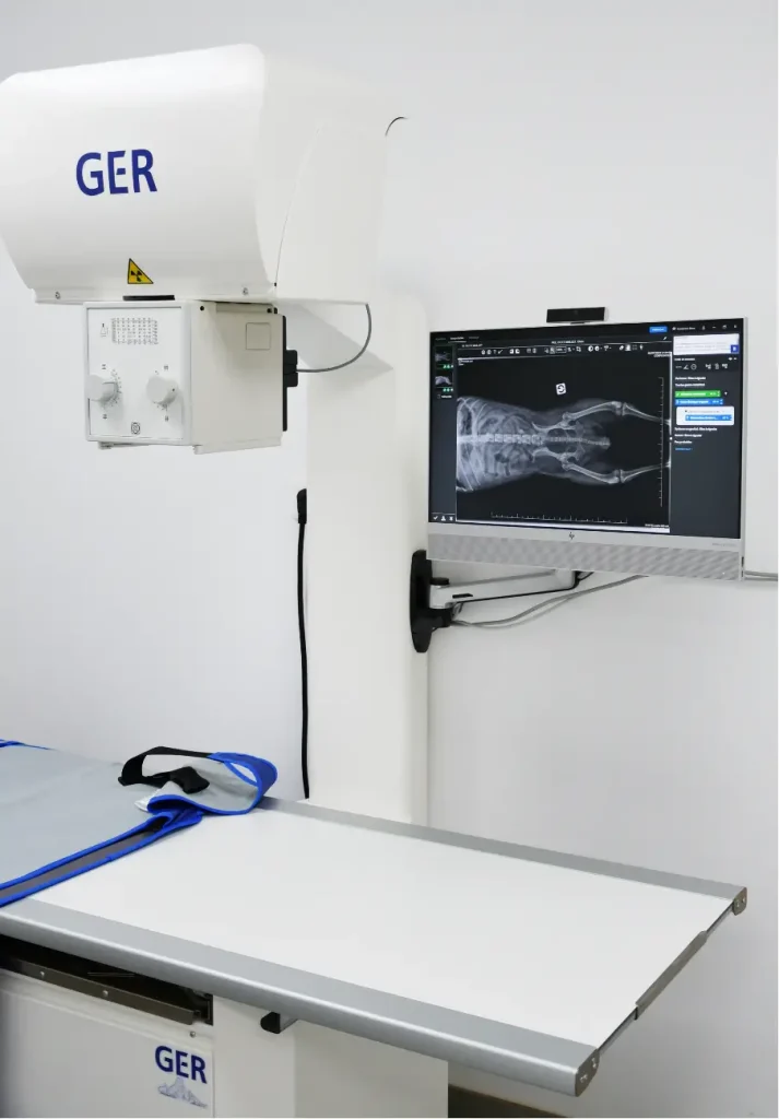 Radiologie